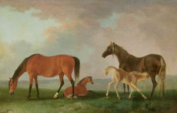 Mares and Foals (oil on canvas) | Obraz na stenu