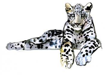 Arabian Leopard, 2008 (w/c on paper) | Obraz na stenu