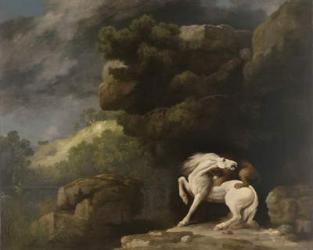 A Lion Attacking a Horse, 1770 (oil on canvas) | Obraz na stenu