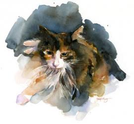 Calico Cat, 2015, (watercolor) | Obraz na stenu