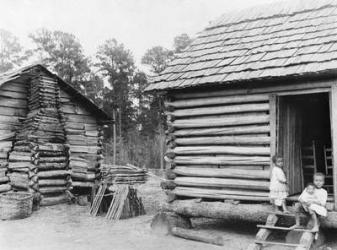 Log cabins in Thomasville, Florida, c.1900 (b/w photo) | Obraz na stenu