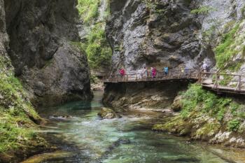 Visitors walking on wooden walkways which run the length of the Vintgar Gorge near Bled, Triglav, National Park, Upper Carniola, Slovenia (photo) | Obraz na stenu