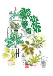 Mid Century House Plants | Obraz na stenu
