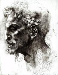 Head of a Satyr (pen & ink on paper) (b/w photo) | Obraz na stenu
