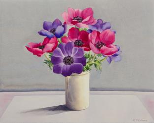 Anemones (watercolour on paper) | Obraz na stenu