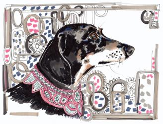 Lacey The Dachshund, 2013, (pen, ink on paper) | Obraz na stenu