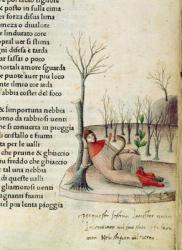 Fol. 52r from 'Canzoniere e Trionfi' by Petrarch, c.1470 | Obraz na stenu