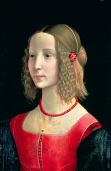 Portrait of a Girl, c.1490 (tempera on panel) | Obraz na stenu