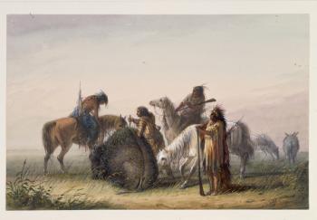 Supplying Camp with Buffalo Meat, c.1858-60 (w/c on paper) | Obraz na stenu