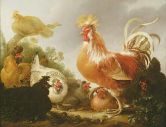 Cockerel and hens in a landscape, 1649 (oil on canvas) | Obraz na stenu
