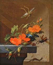 A Bouquet of Roses, Morning Glory and Hazelnuts with Grasshoppers, Stag Beetle and Lizard (oil on canvas) | Obraz na stenu