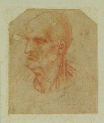 Head of a beardless old man, left profile (red chalk on paper) | Obraz na stenu