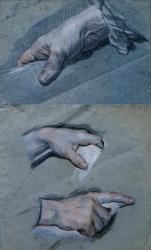 Study of the Hands of a Man (pastel on paper) | Obraz na stenu