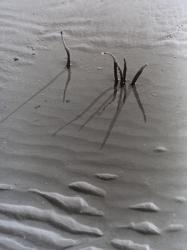 VINTAGE B&W PHOTO No.4, 1985, (PHOTOGRAPH) | Obraz na stenu