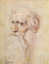 Portrait of a bearded old man (red chalk & pierre noire) | Obraz na stenu