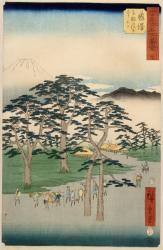 Fujisawa from the series 53 stations of the Tokaido, 1855 (colour woodblock print) | Obraz na stenu