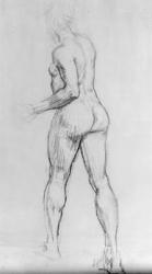 Study of a nude woman, 1915 (charcoal on paper) | Obraz na stenu