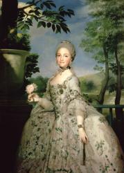 Portrait of Marie-Louise of Bourbon (1751-1819) (oil on canvas) | Obraz na stenu