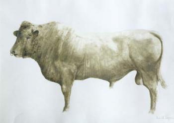 Islay Bull, 2004 (acrylic on canvas) | Obraz na stenu