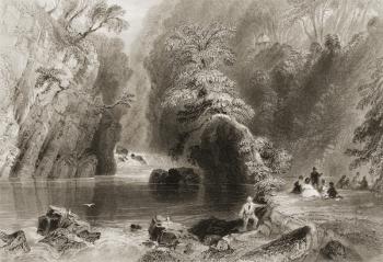 The Dargle River, County Wicklow, from 'Scenery and Antiquities of Ireland' by George Virtue, 1860s (engraving) | Obraz na stenu