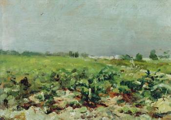 Celeyran, View of the Vineyard, 1880 (oil on canvas) | Obraz na stenu