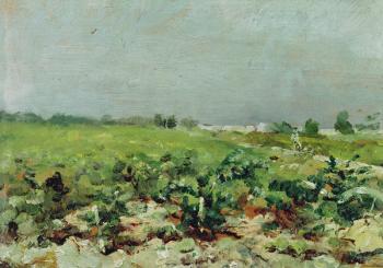 Celeyran, View of the Vineyard, 1880 (oil on canvas) | Obraz na stenu