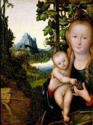 Madonna and Child, c.1525 (oil on wood) | Obraz na stenu