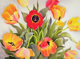 Orange and Red Tulips (w/c) | Obraz na stenu