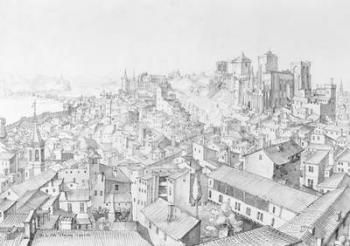 View of the Town of Avignon and its surroundings (pen and ink wash on paper) | Obraz na stenu