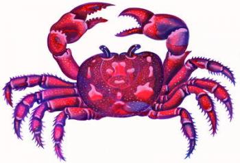 Cancer the Crab, 1996, (ink and gouache) | Obraz na stenu