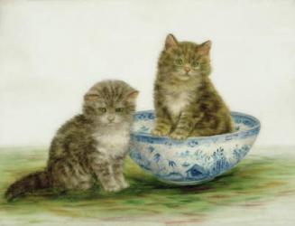 Kitten in a Blue China Bowl | Obraz na stenu