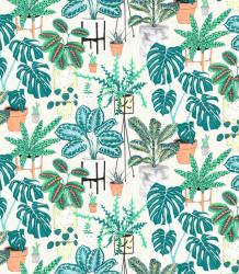 House Plants Teal | Obraz na stenu