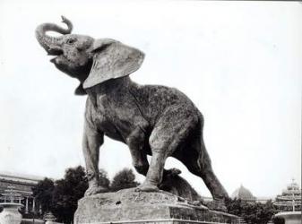 Young Elephant Caught in a Trap (1878) by Emmanuel Fremiet (1824-1910) in front of the Trocadero Palace, constructed for the Universal Exposition (1878), Paris, 1888 (b/w photo) | Obraz na stenu