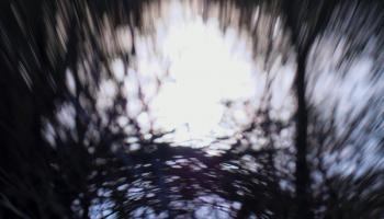 Water tapestry III, 2017, (manipulated photography) | Obraz na stenu