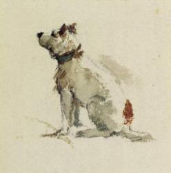 A Terrier, sitting facing left (w/c on paper) | Obraz na stenu