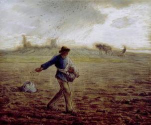 The Sower, c.1865 (pastel & crayon on paper) | Obraz na stenu