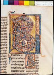 Ms 19 fd2 Historiated initial 'B' depicting King David, from the 'Marchiennes Psalter' (vellum) | Obraz na stenu