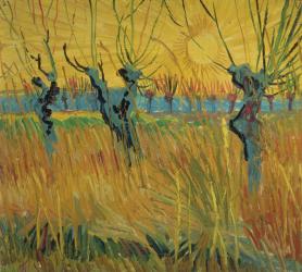 Pollarded Willows and Setting Sun, 1888 (oil on card) | Obraz na stenu