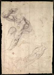 Male figure study (pencil on paper) | Obraz na stenu