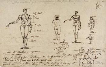 Studies of anatomy with measurements and writing (pen & brown ink on paper) | Obraz na stenu