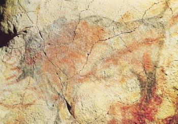 Bison, from the Caves at Altamira, c.15000 BC (cave painting) | Obraz na stenu