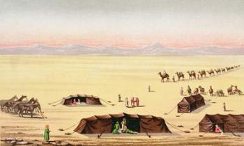 Our Desert Camp (colour engraving) | Obraz na stenu