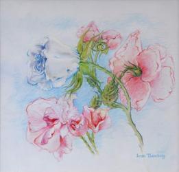 Morning Roses 2002 (w/c on paper) | Obraz na stenu