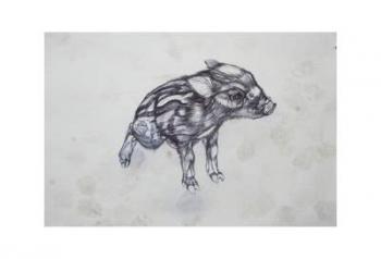 Little Pig,2015,(bic biro on paper) | Obraz na stenu