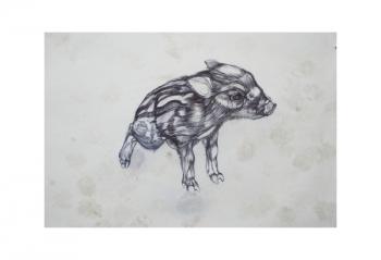 Little Pig,2015,(bic biro on paper) | Obraz na stenu