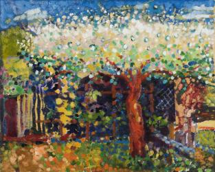Apple Tree Blossom | Obraz na stenu