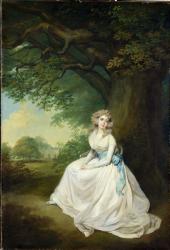 Lady Chambers, c.1789 (oil on canvas) | Obraz na stenu