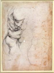 Study of torso and buttock (charcoal on paper) (recto) | Obraz na stenu