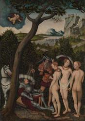 The Judgement of Paris, c.1528 (oil on beech) | Obraz na stenu