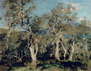 Olives, Corfu, 1912 (oil on canvas) | Obraz na stenu